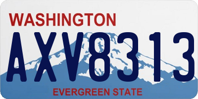 WA license plate AXV8313
