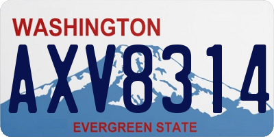 WA license plate AXV8314
