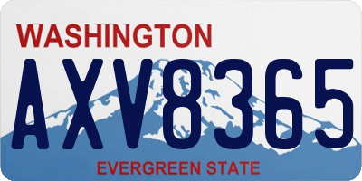 WA license plate AXV8365