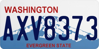 WA license plate AXV8373