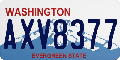 WA license plate AXV8377