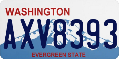 WA license plate AXV8393