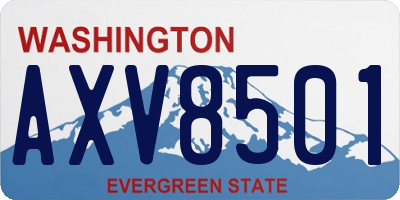WA license plate AXV8501