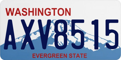 WA license plate AXV8515