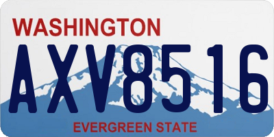 WA license plate AXV8516