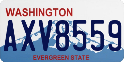 WA license plate AXV8559