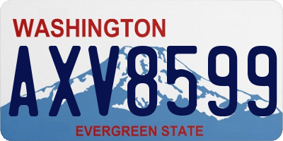 WA license plate AXV8599