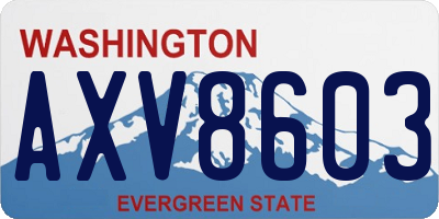 WA license plate AXV8603