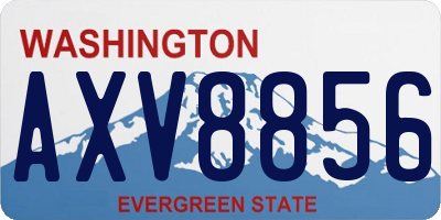 WA license plate AXV8856