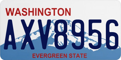 WA license plate AXV8956