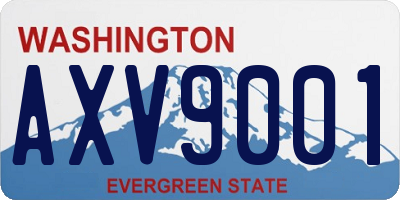 WA license plate AXV9001