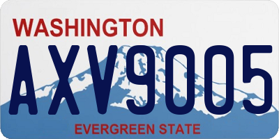 WA license plate AXV9005