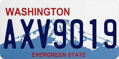 WA license plate AXV9019