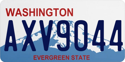 WA license plate AXV9044