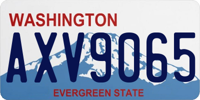 WA license plate AXV9065