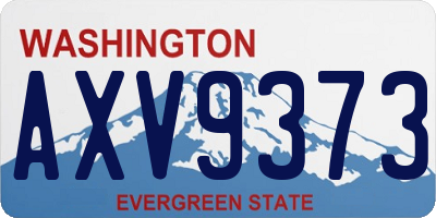 WA license plate AXV9373
