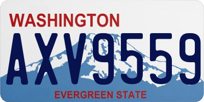 WA license plate AXV9559