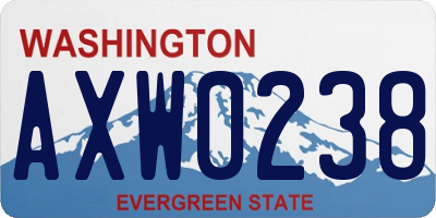 WA license plate AXW0238