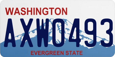WA license plate AXW0493