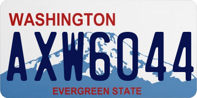 WA license plate AXW6044