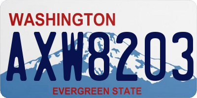 WA license plate AXW8203