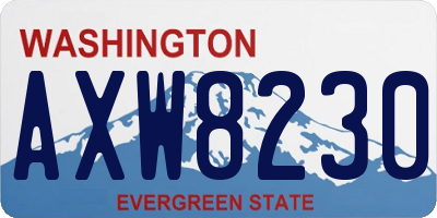 WA license plate AXW8230