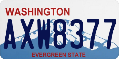 WA license plate AXW8377