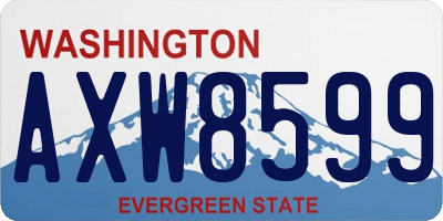 WA license plate AXW8599