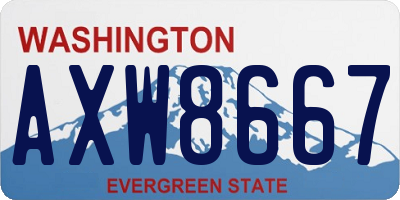 WA license plate AXW8667