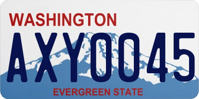 WA license plate AXY0045