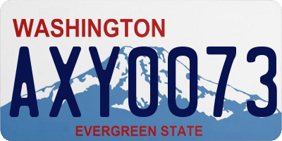 WA license plate AXY0073