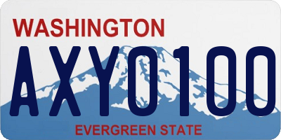 WA license plate AXY0100