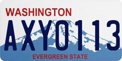WA license plate AXY0113