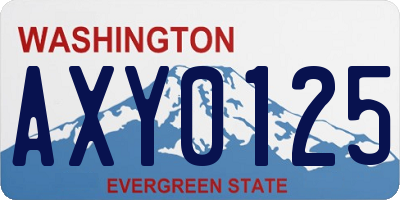 WA license plate AXY0125