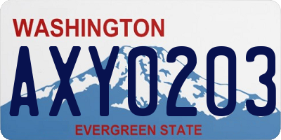 WA license plate AXY0203