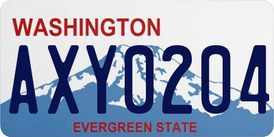 WA license plate AXY0204