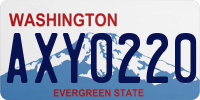 WA license plate AXY0220