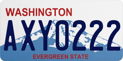 WA license plate AXY0222