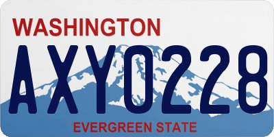 WA license plate AXY0228
