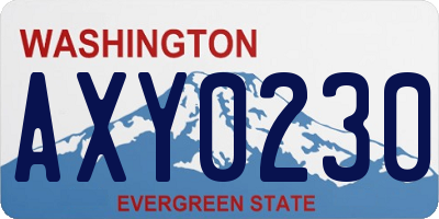 WA license plate AXY0230