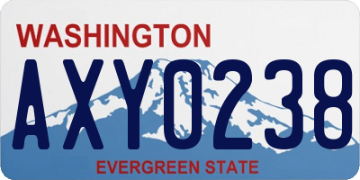 WA license plate AXY0238
