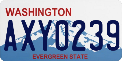 WA license plate AXY0239