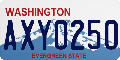WA license plate AXY0250