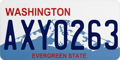 WA license plate AXY0263