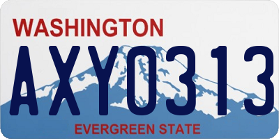 WA license plate AXY0313