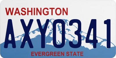 WA license plate AXY0341