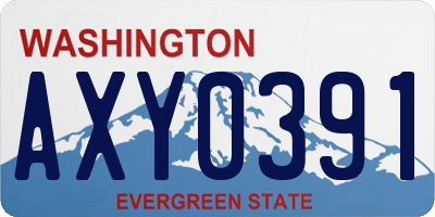 WA license plate AXY0391