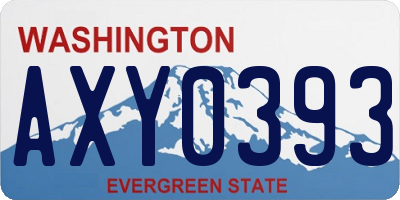 WA license plate AXY0393