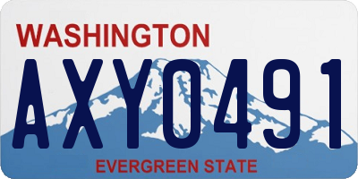 WA license plate AXY0491