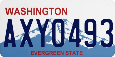 WA license plate AXY0493